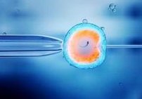 南京做一代试管婴儿生多胎技术比较好的私立生殖中心在哪里？