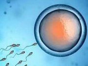 一分钟了解三代试管成功率，还有试管条件限制全览哦