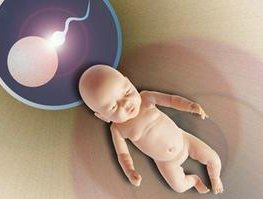 杭州2026卵子医院排名榜实时更新，附杭州三代试管费用指南