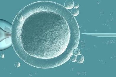 2026年无结婚证做试管要多少钱？大理大概要十二万左右